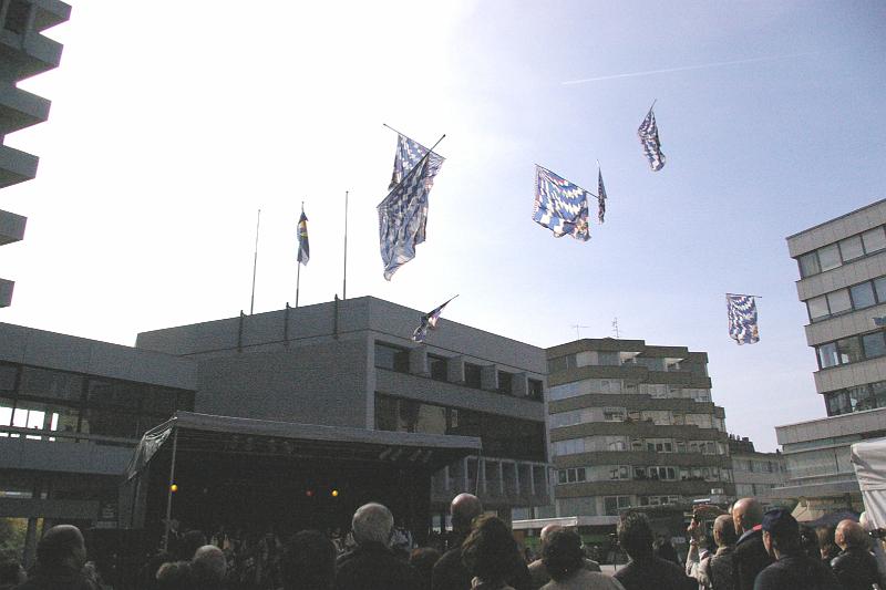IMGP8693.JPG